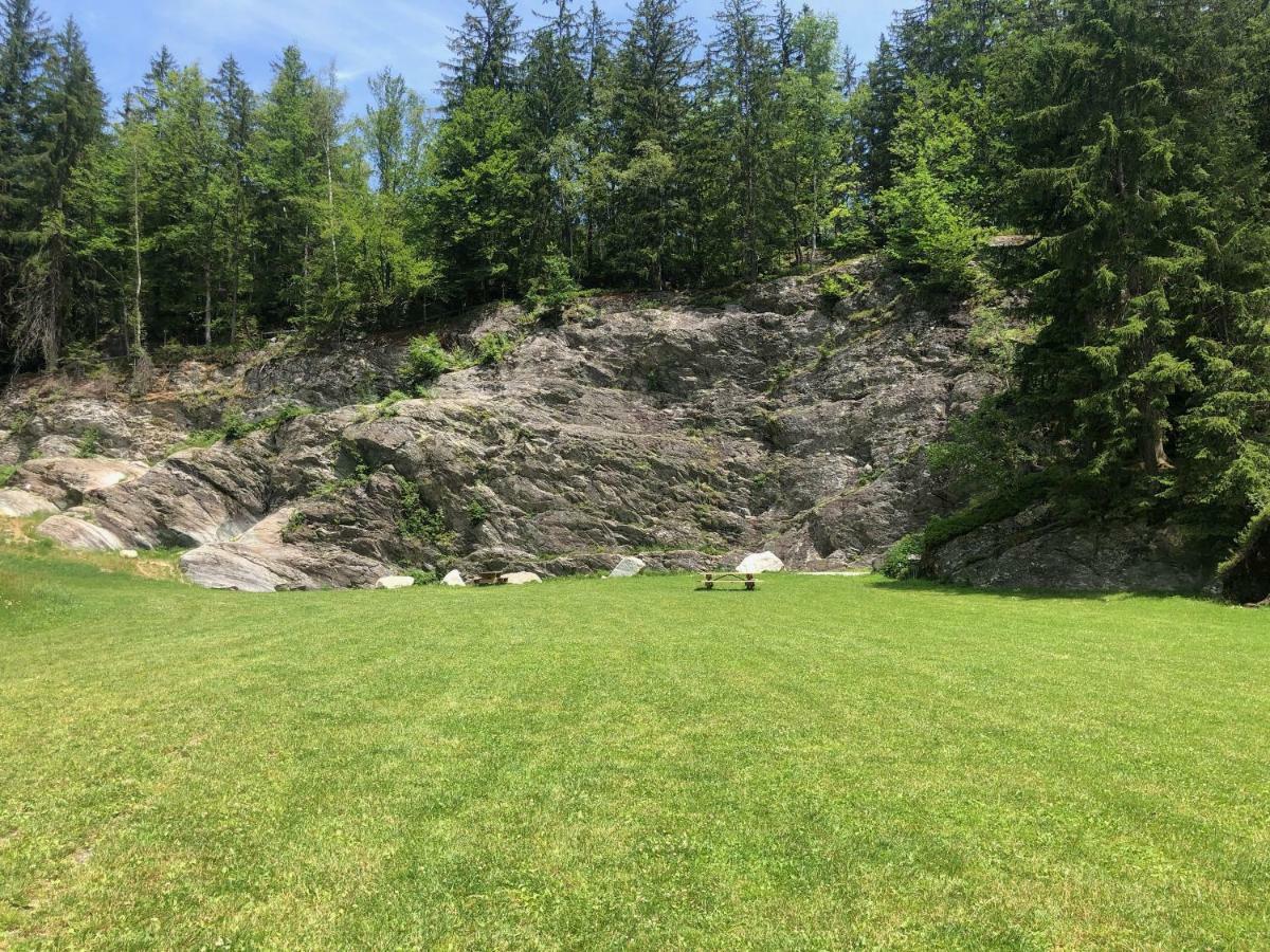 Le nid d'aigle Appartamento Les Houches Esterno foto